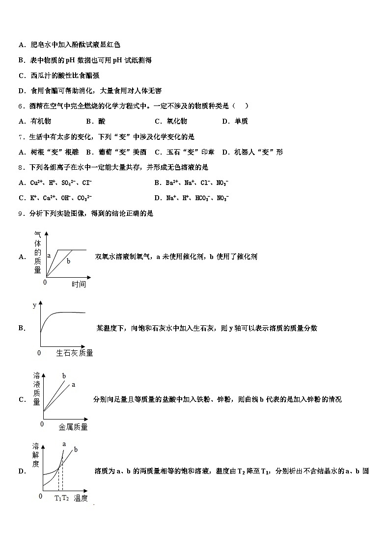 2026年内蒙古自治区呼伦贝尔市中考化学适应性模拟试题（含答案解析）第2页