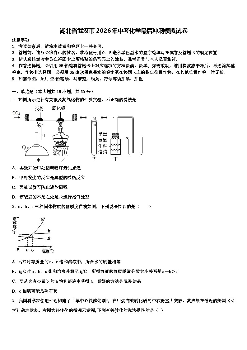 湖北省武汉市2026年中考化学最后冲刺模拟试卷（含答案解析）第1页