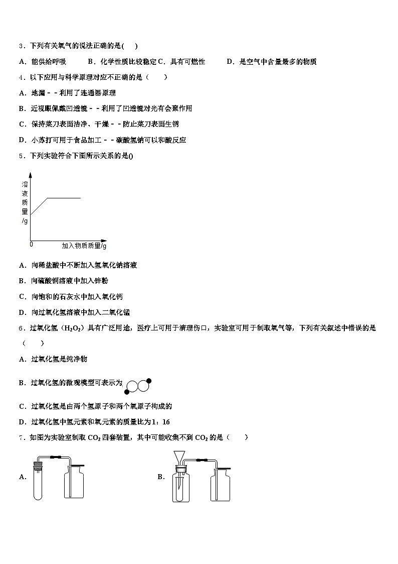 濮阳市2025-2026学年中考化学全真模拟试题（含答案解析）第2页