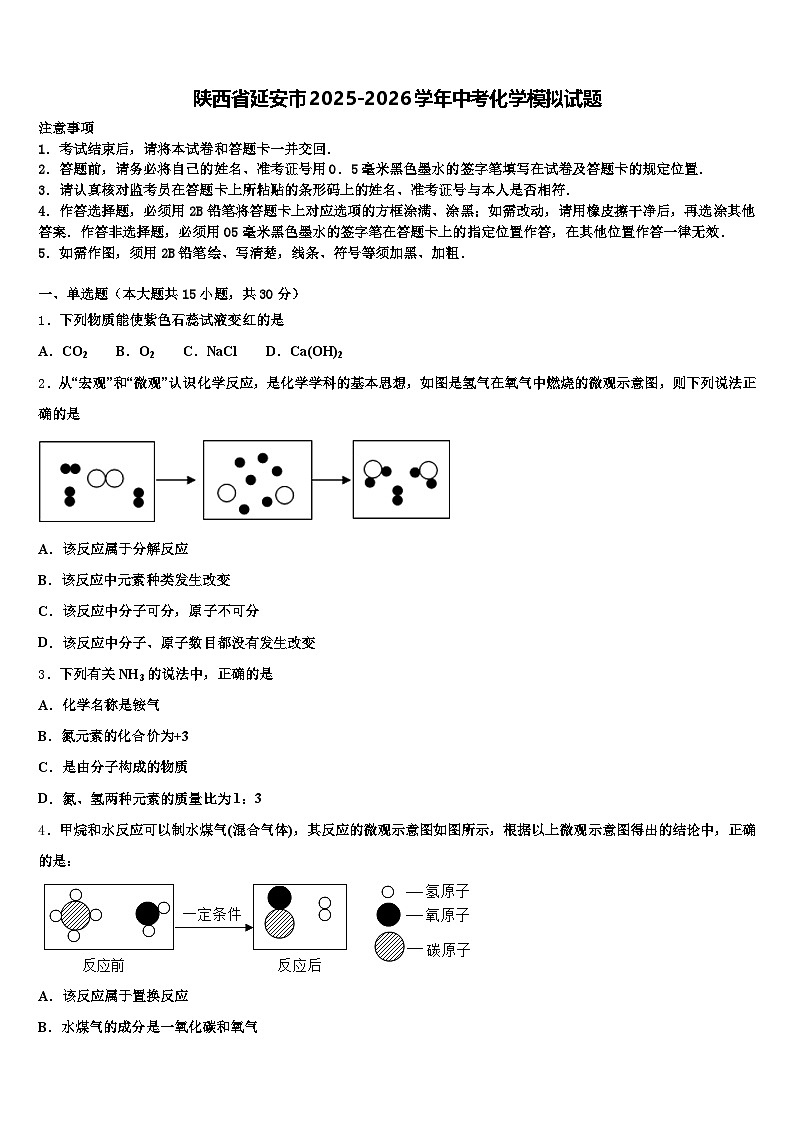 陕西省延安市2025-2026学年中考化学模拟试题（含答案解析）第1页