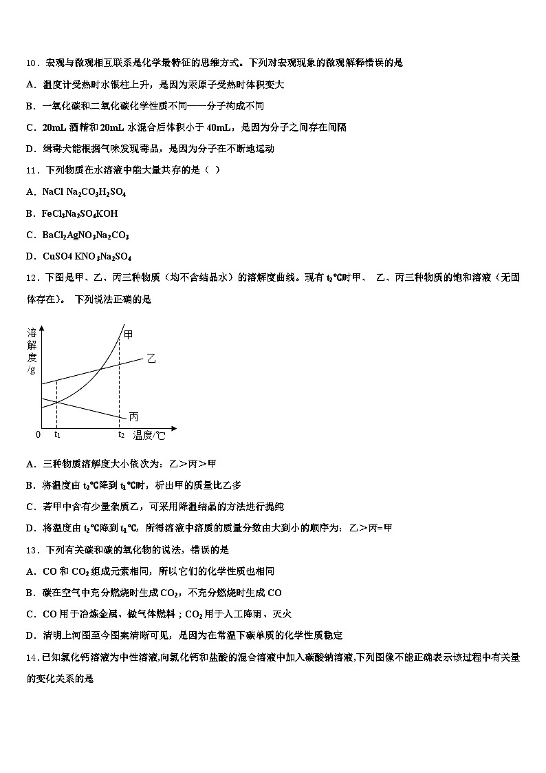 陕西省延安市2025-2026学年中考化学模拟试题（含答案解析）第3页