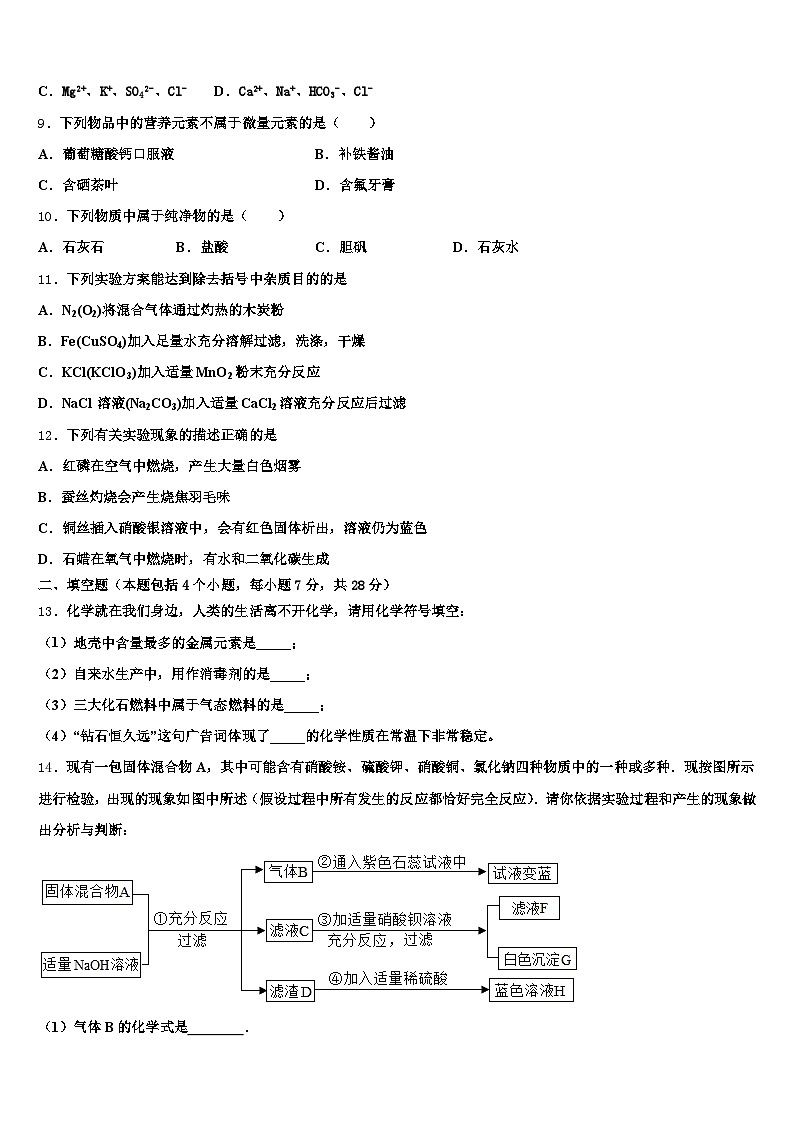 浙江省嘉兴市2026年中考二模化学试题（含答案解析）第3页