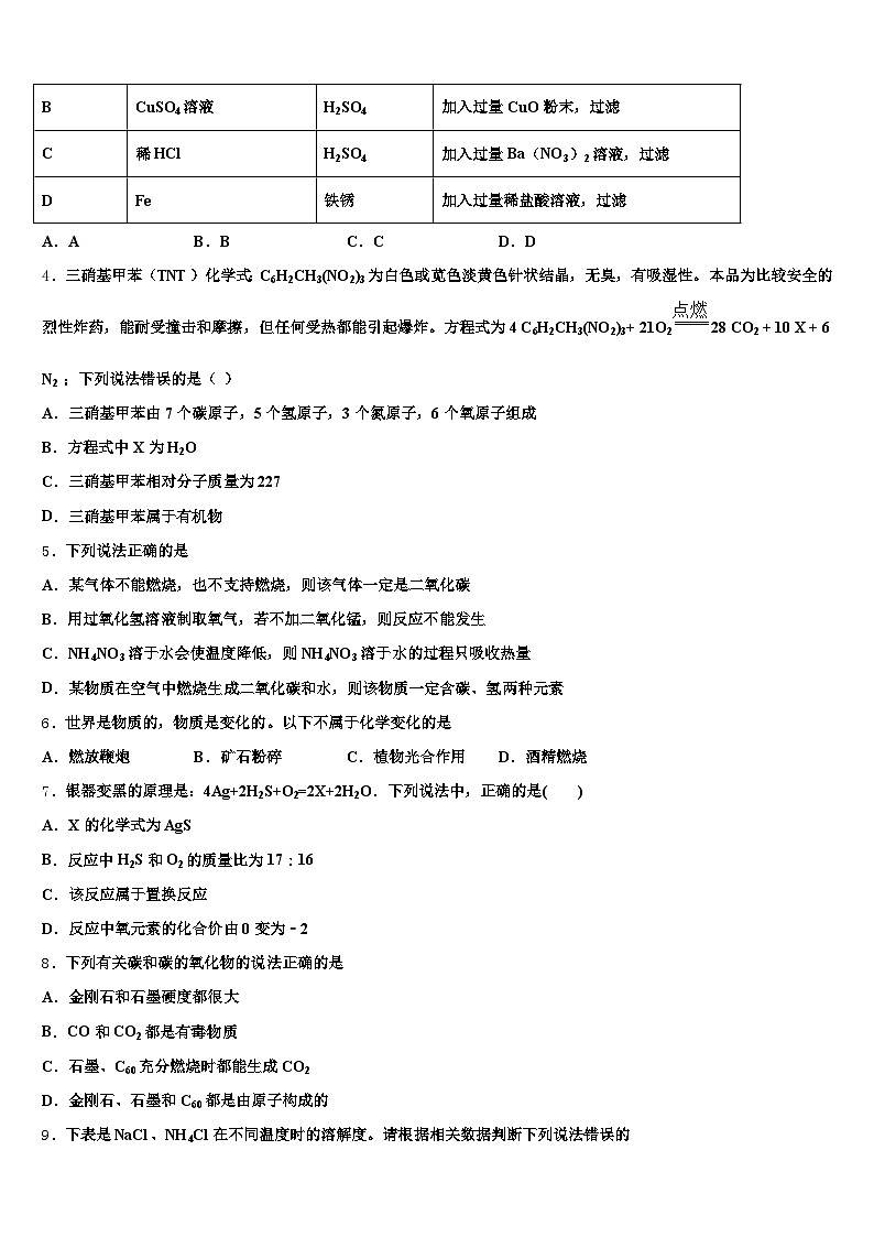 江苏省扬州市2025-2026学年中考化学押题试卷（含答案解析）第2页