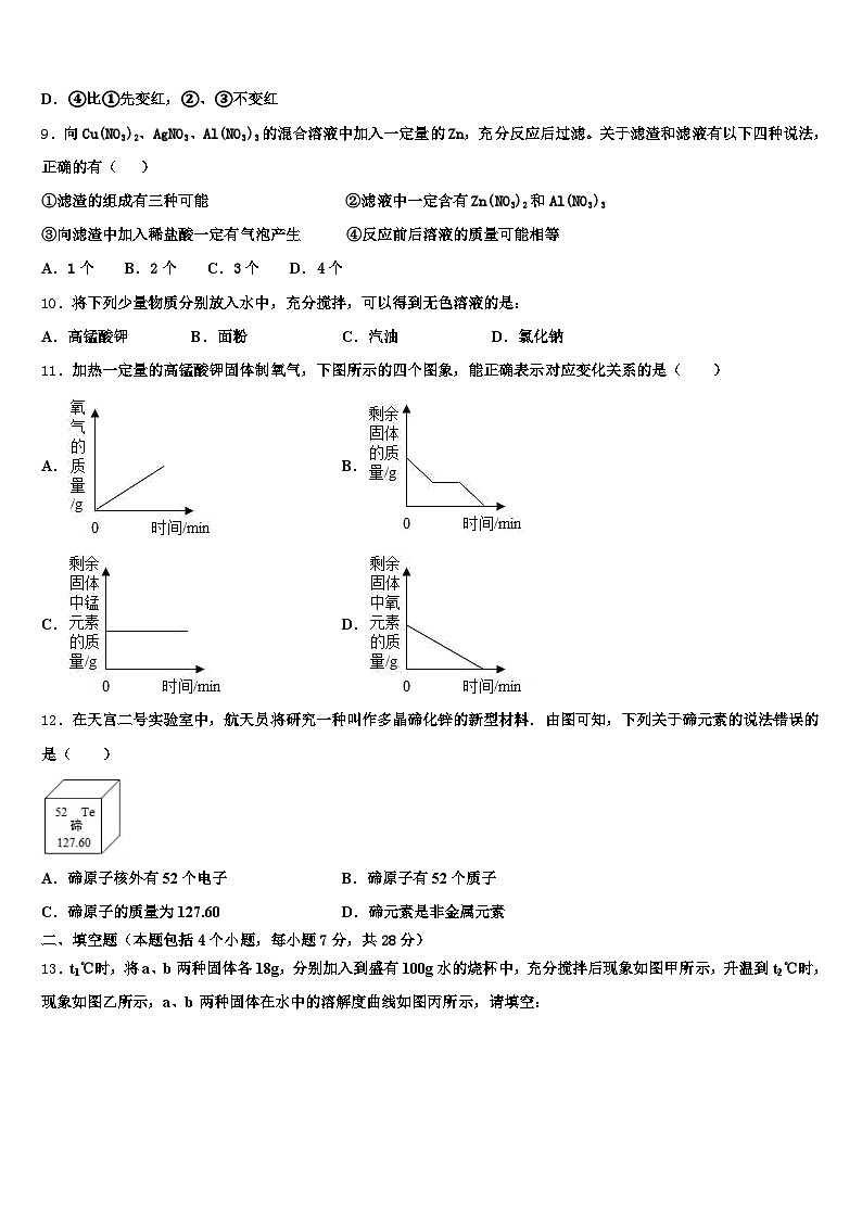 日照市2026年中考化学全真模拟试卷（含答案解析）第3页