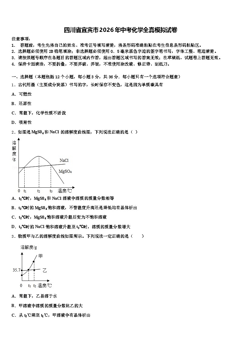 四川省宜宾市2026年中考化学全真模拟试卷（含答案解析）第1页