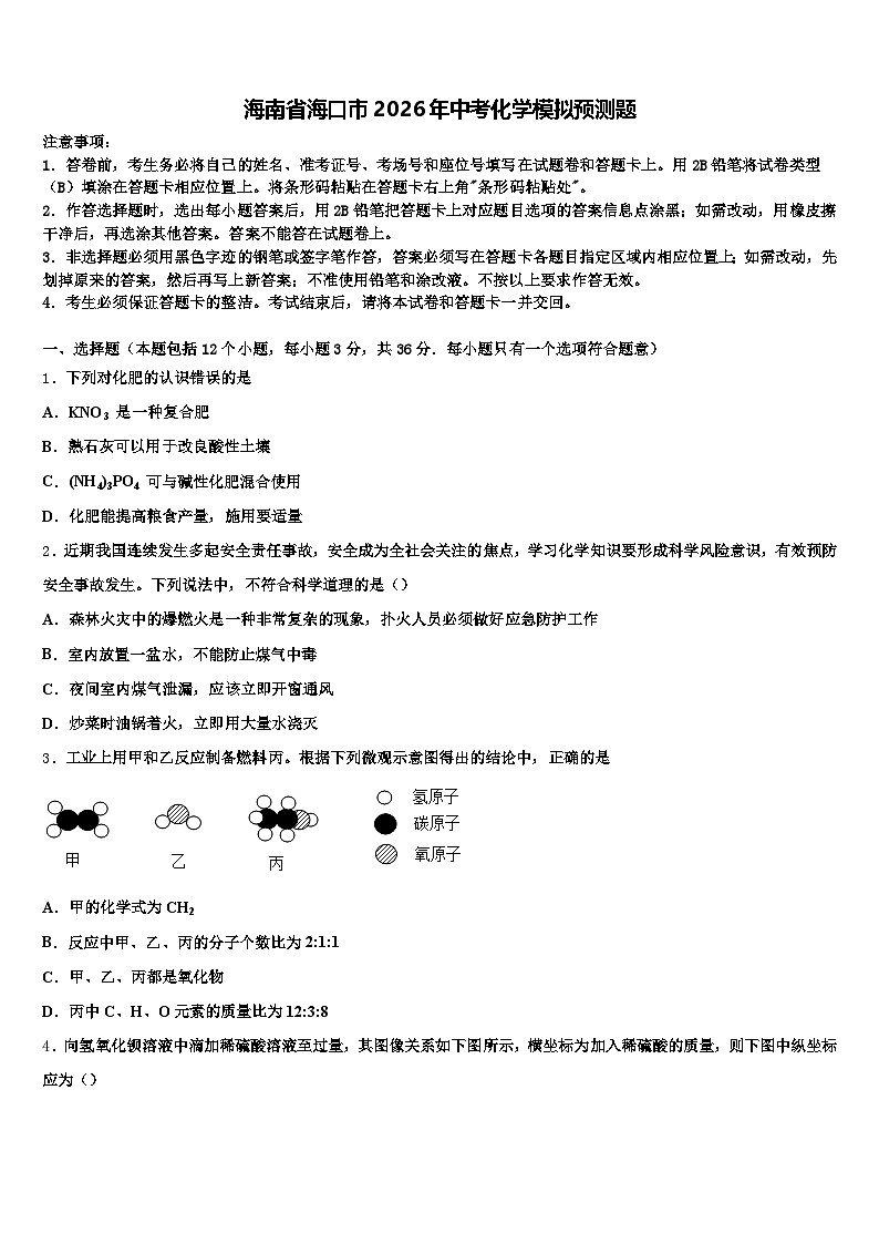 海南省海口市2026年中考化学模拟预测题（含答案解析）第1页