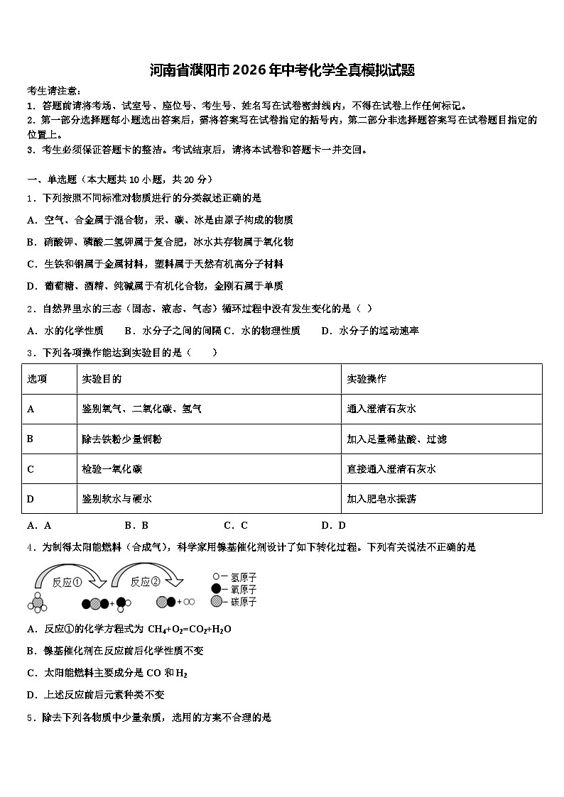 河南省濮阳市2026年中考化学全真模拟试题（含答案解析）第1页