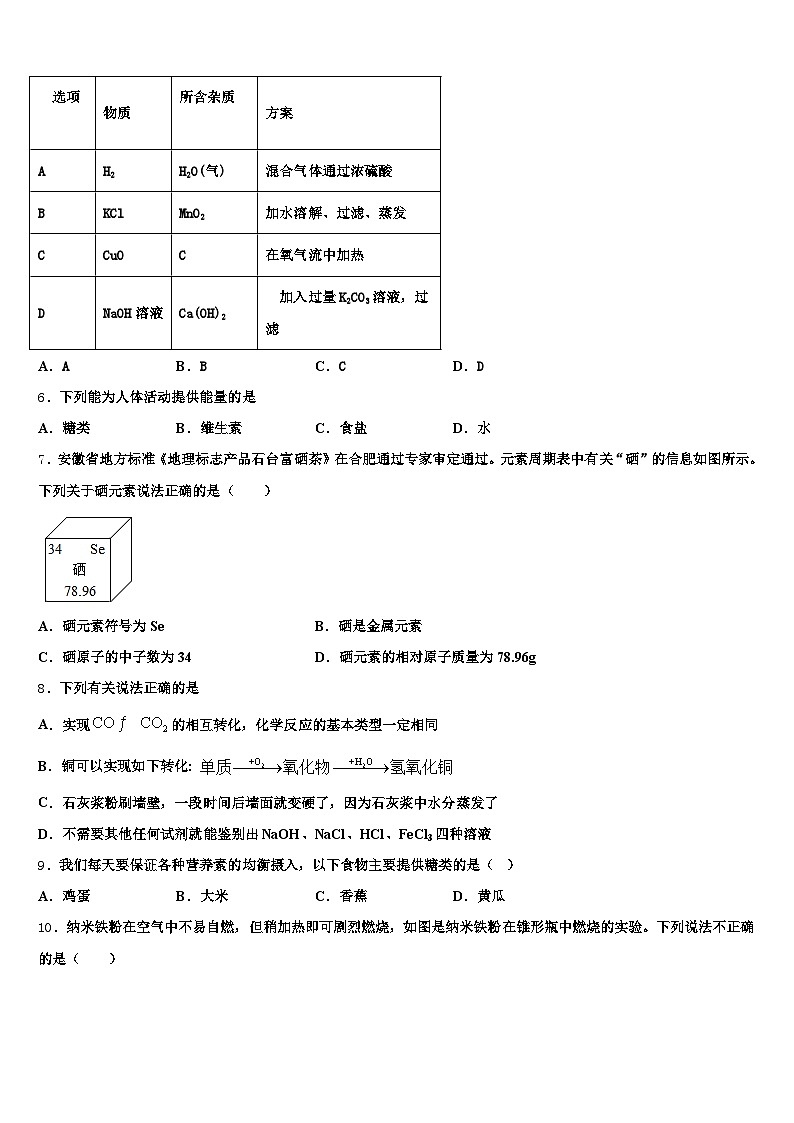河南省濮阳市2026年中考化学全真模拟试题（含答案解析）第2页