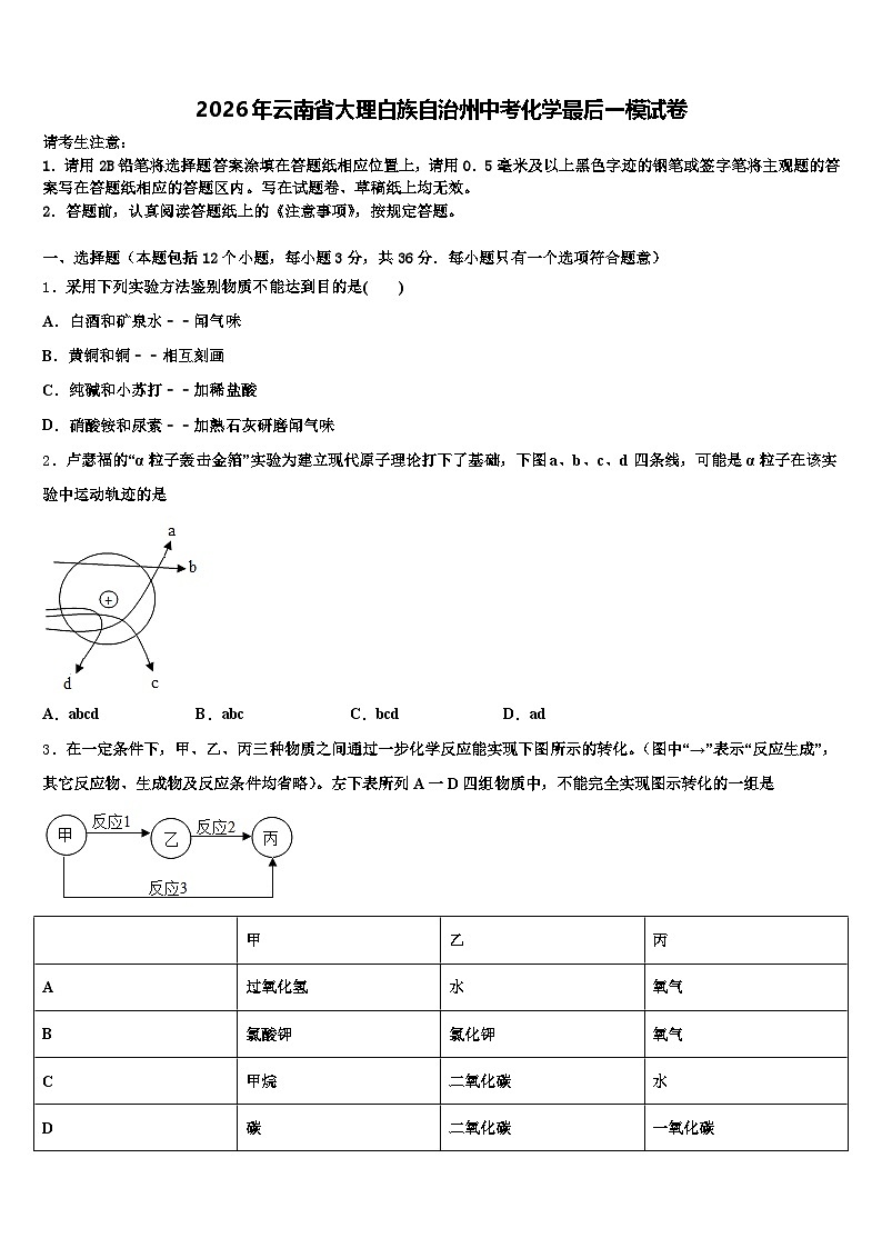 2026年云南省大理白族自治州中考化学最后一模试卷（含答案解析）第1页