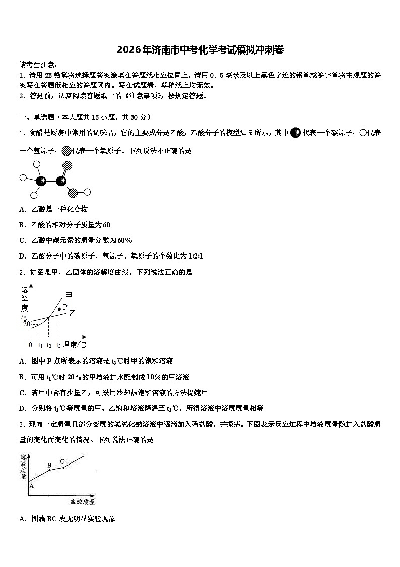 2026年济南市中考化学考试模拟冲刺卷（含答案解析）第1页