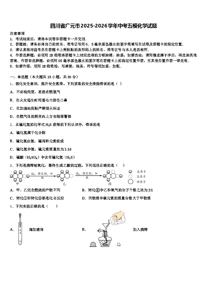 四川省广元市2025-2026学年中考五模化学试题（含答案解析）第1页