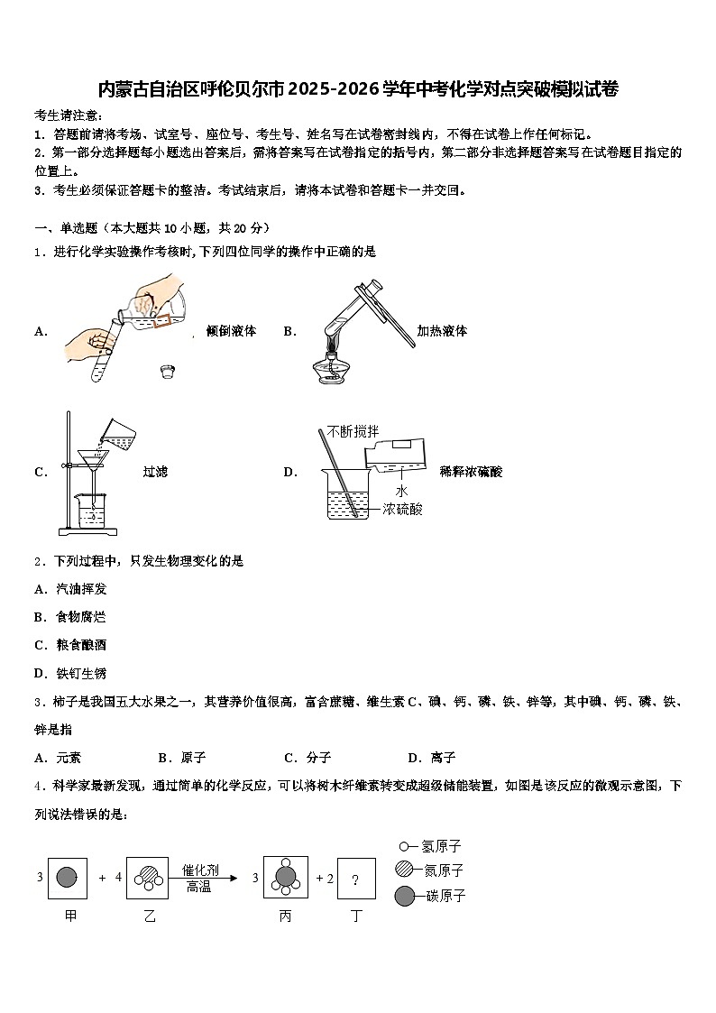内蒙古自治区呼伦贝尔市2025-2026学年中考化学对点突破模拟试卷（含答案解析）第1页