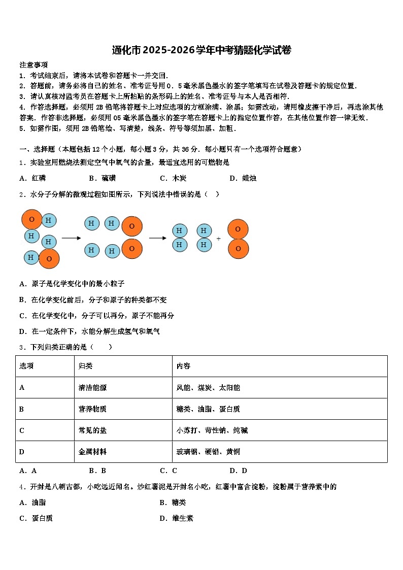 通化市2025-2026学年中考猜题化学试卷（含答案解析）第1页