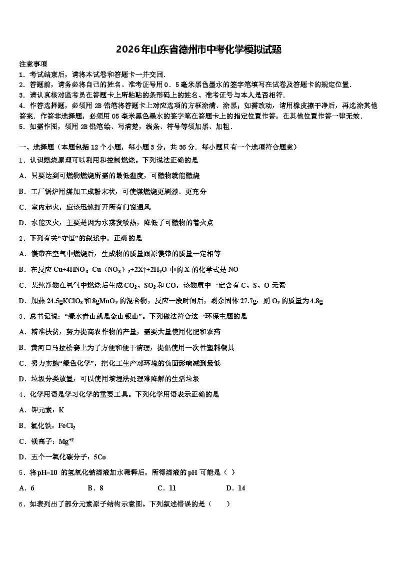 2026年山东省德州市中考化学模拟试题（含答案解析）第1页