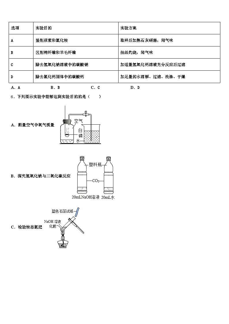 儋州市2026年中考化学适应性模拟试题（含答案解析）第2页