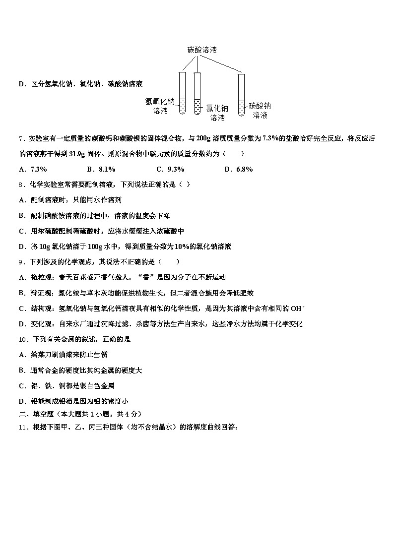 儋州市2026年中考化学适应性模拟试题（含答案解析）第3页