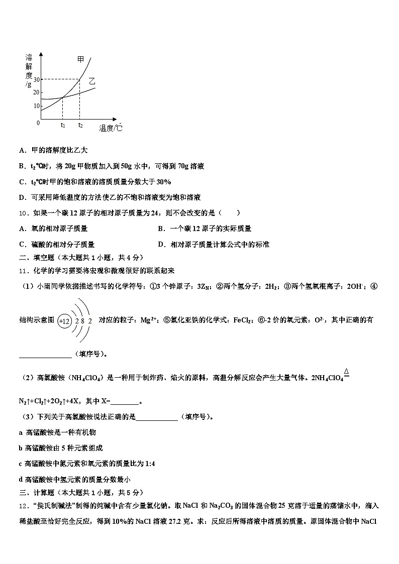 西宁市2025-2026学年中考化学最后冲刺浓缩精华卷（含答案解析）第3页