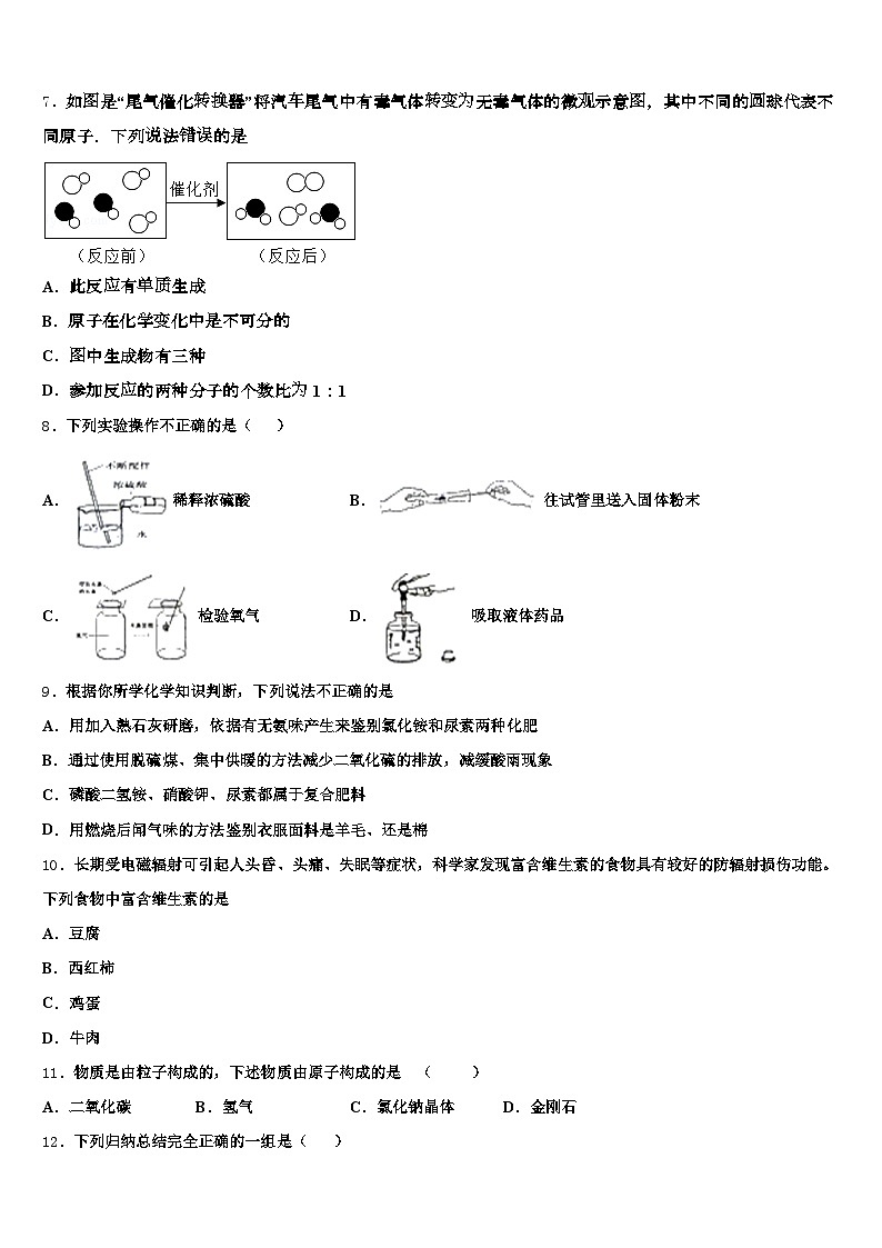 云南省文山壮族苗族自治州2025-2026学年中考化学模拟预测题（含答案解析）第2页