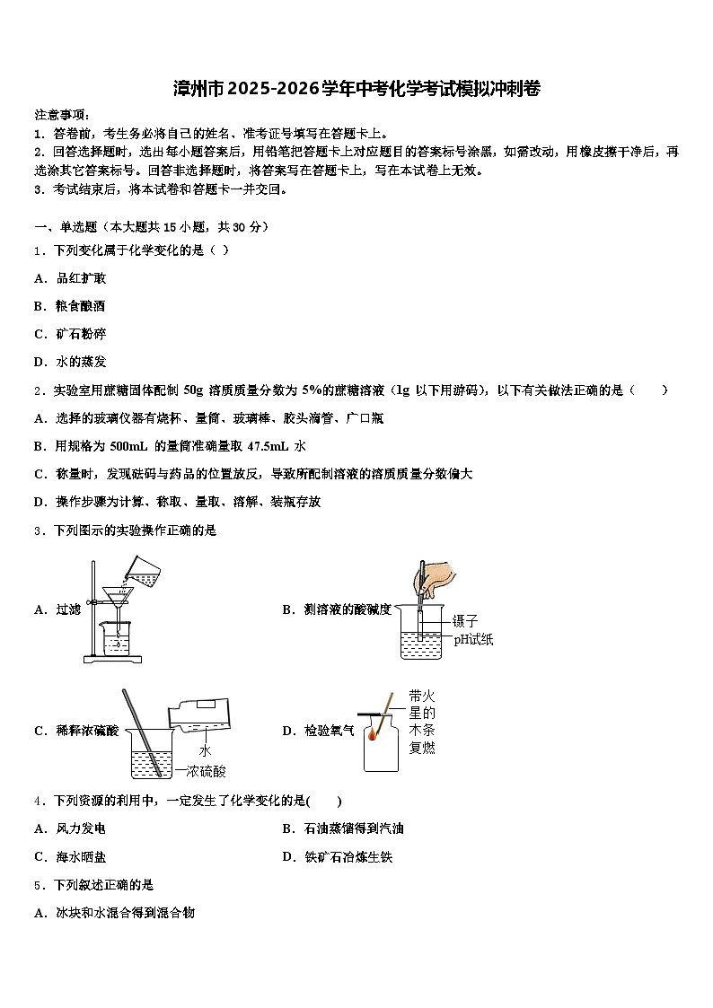 漳州市2025-2026学年中考化学考试模拟冲刺卷（含答案解析）第1页