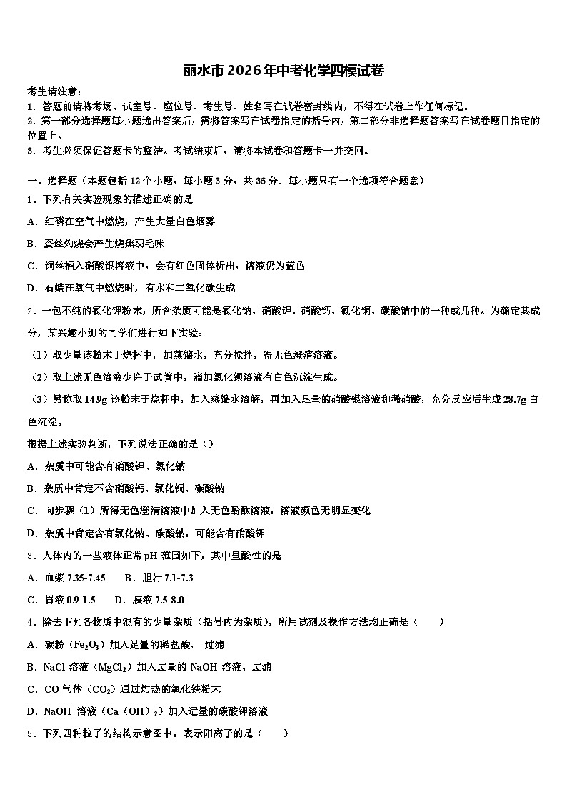 丽水市2026年中考化学四模试卷（含答案解析）第1页