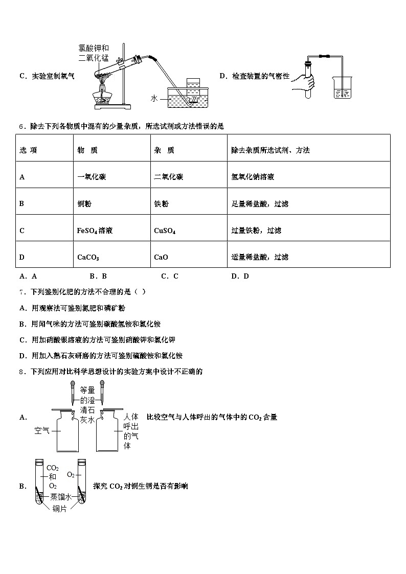 攀枝花市2026年中考一模化学试题（含答案解析）第2页