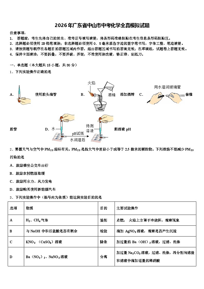 2026年广东省中山市中考化学全真模拟试题（含答案解析）第1页