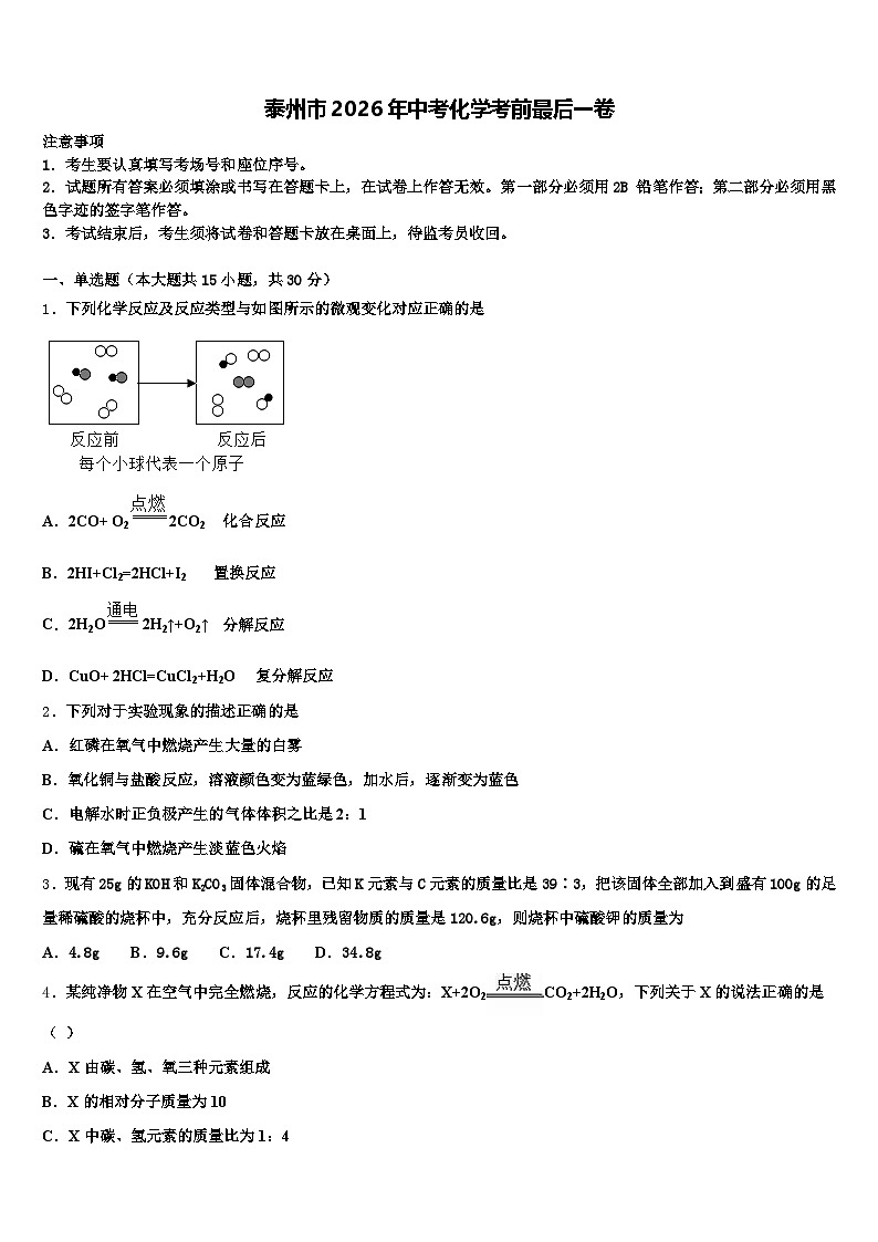 泰州市2026年中考化学考前最后一卷（含答案解析）第1页
