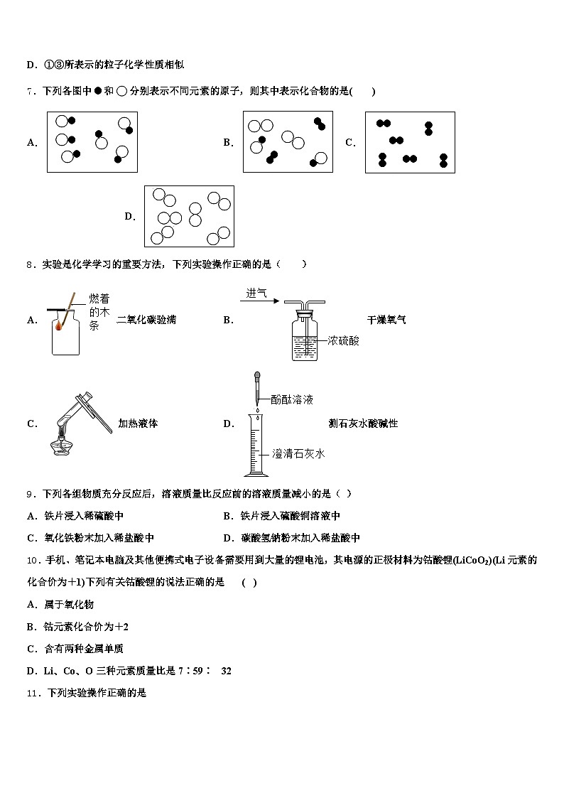 2026年青海省玉树藏族自治州初中化学毕业考试模拟冲刺卷（含答案解析）第3页