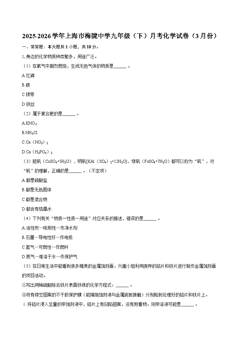 2025-2026学年上海市梅陇中学九年级（下）月考化学试卷（3月份）-自定义类型第1页