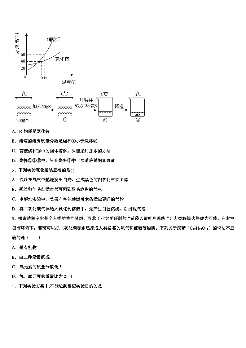 池州市2026年中考化学仿真试卷（含答案解析）第2页