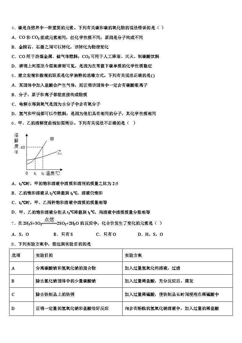贵州省安顺市2025-2026学年中考化学全真模拟试卷（含答案解析）第2页