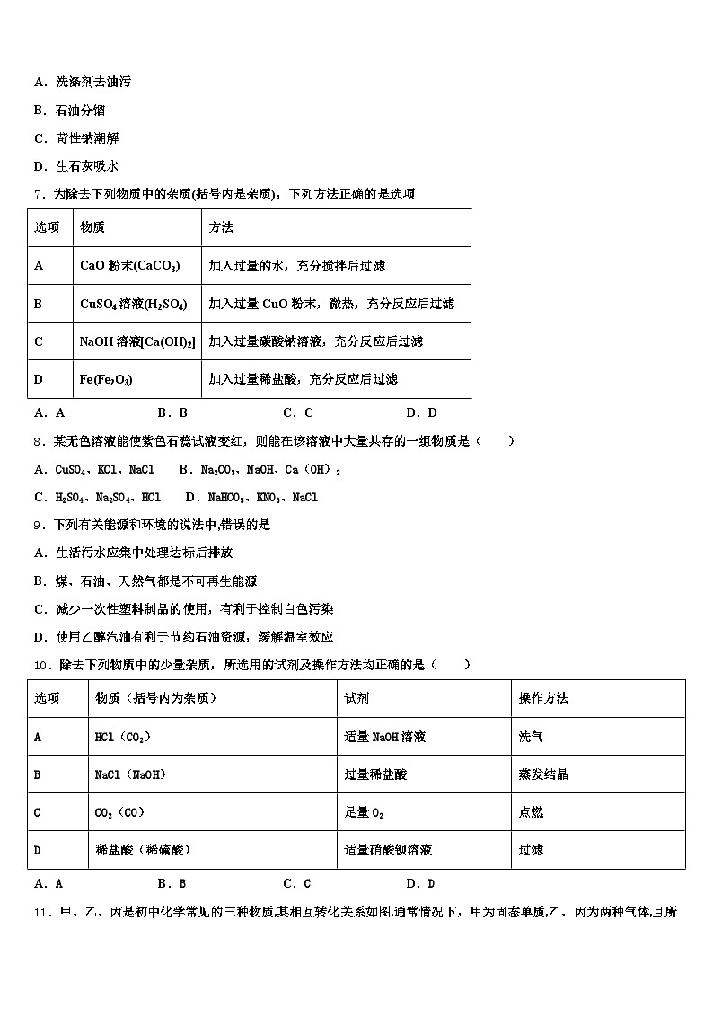 广元市2025-2026学年中考化学押题试卷（含答案解析）第2页