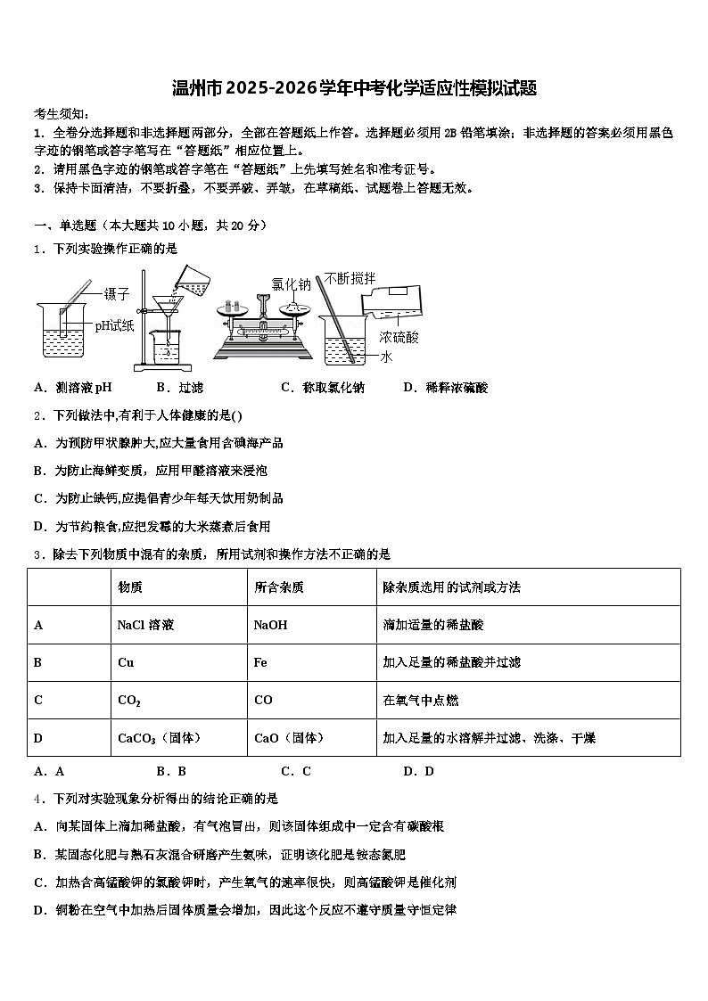温州市2025-2026学年中考化学适应性模拟试题（含答案解析）第1页