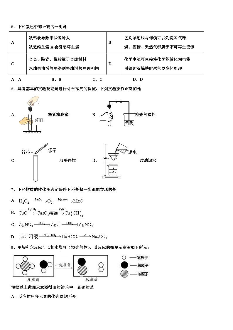 温州市2025-2026学年中考化学适应性模拟试题（含答案解析）第2页