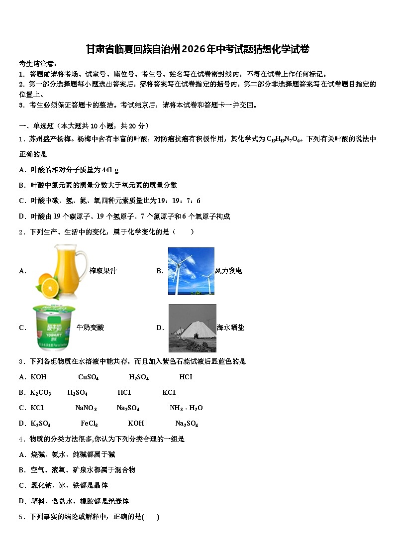甘肃省临夏回族自治州2026年中考试题猜想化学试卷（含答案解析）第1页