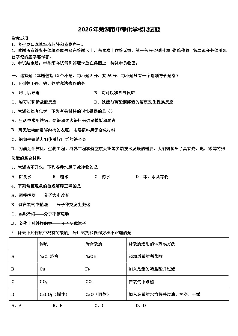 2026年芜湖市中考化学模拟试题（含答案解析）第1页
