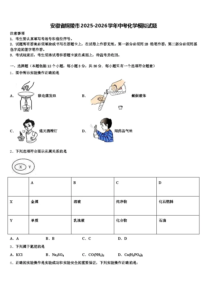 安徽省铜陵市2025-2026学年中考化学模拟试题（含答案解析）第1页