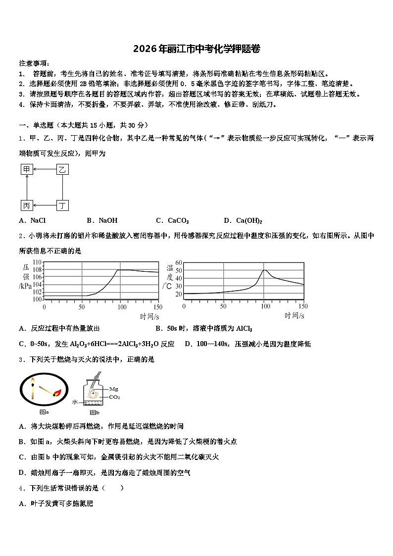 2026年丽江市中考化学押题卷（含答案解析）第1页