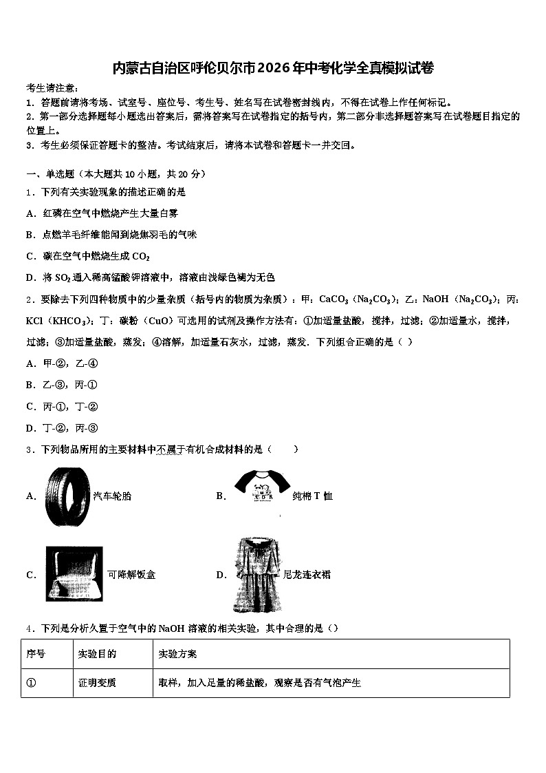 内蒙古自治区呼伦贝尔市2026年中考化学全真模拟试卷（含答案解析）第1页