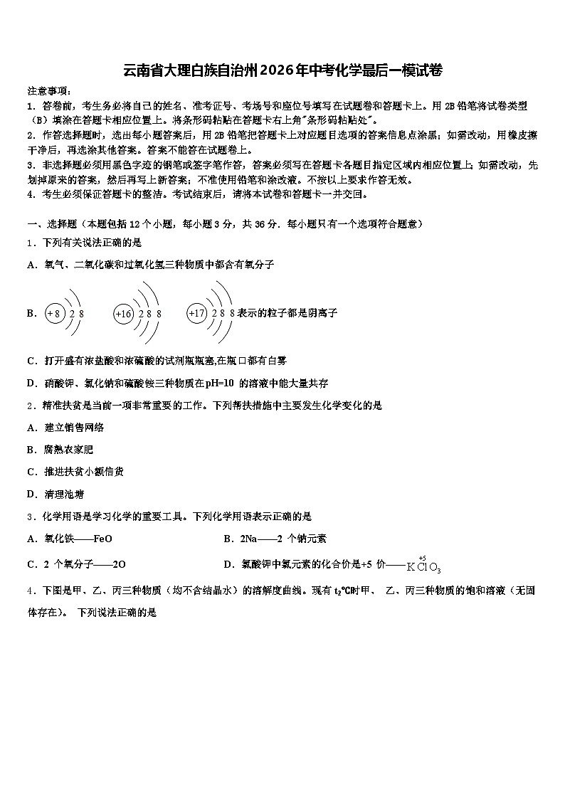 云南省大理白族自治州2026年中考化学最后一模试卷（含答案解析）第1页