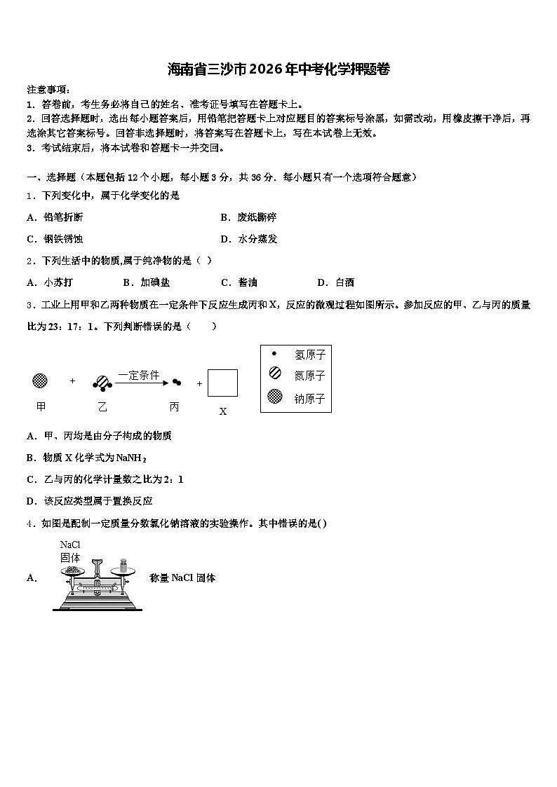 海南省三沙市2026年中考化学押题卷（含答案解析）第1页