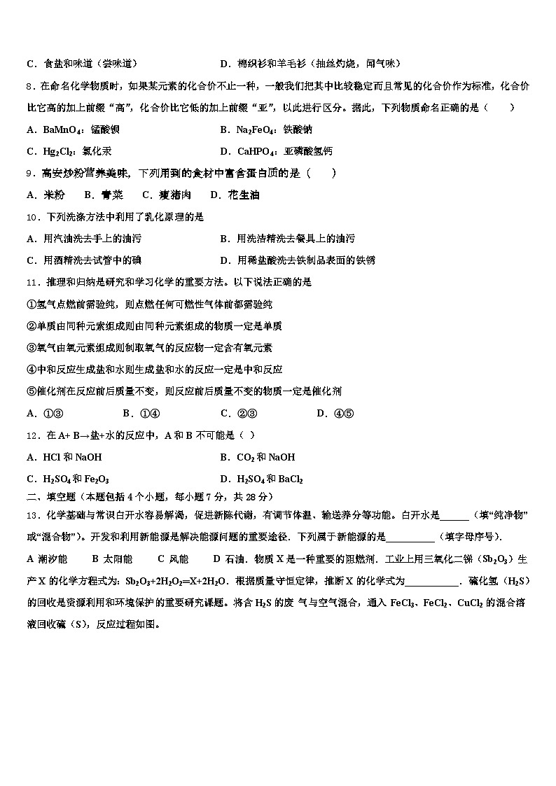 海南省三沙市2026年中考化学押题卷（含答案解析）第3页
