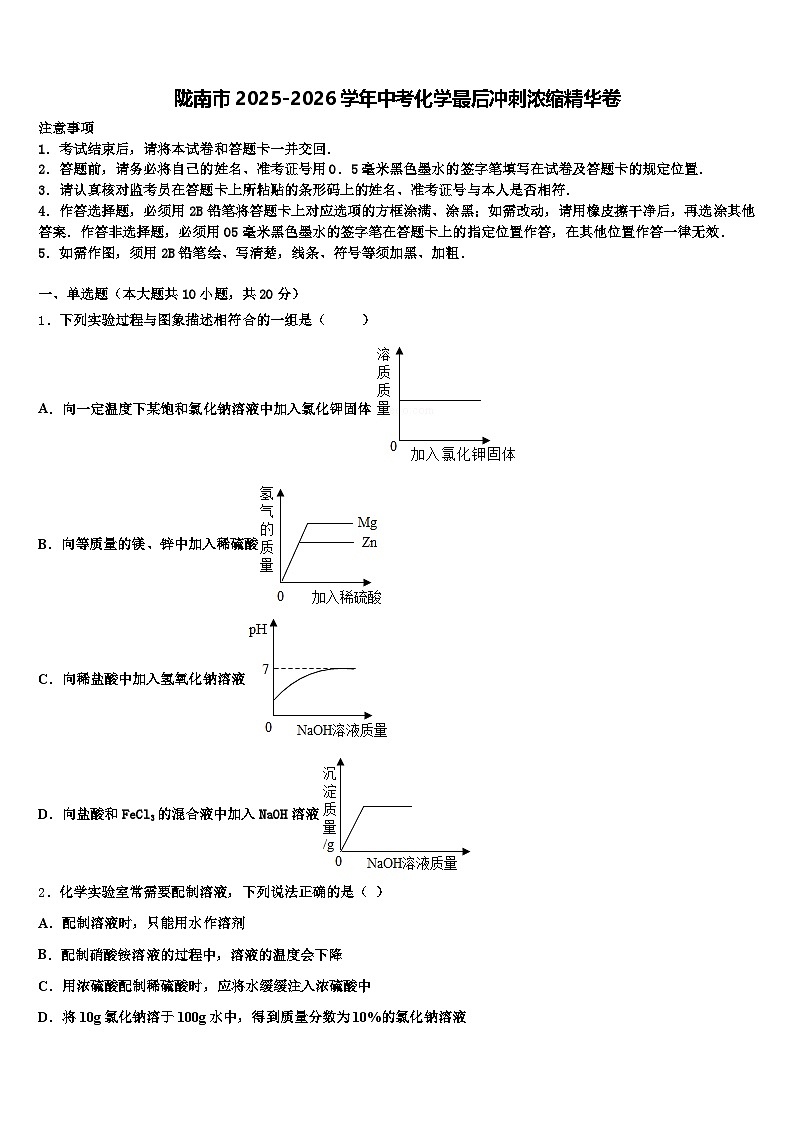 陇南市2025-2026学年中考化学最后冲刺浓缩精华卷（含答案解析）第1页