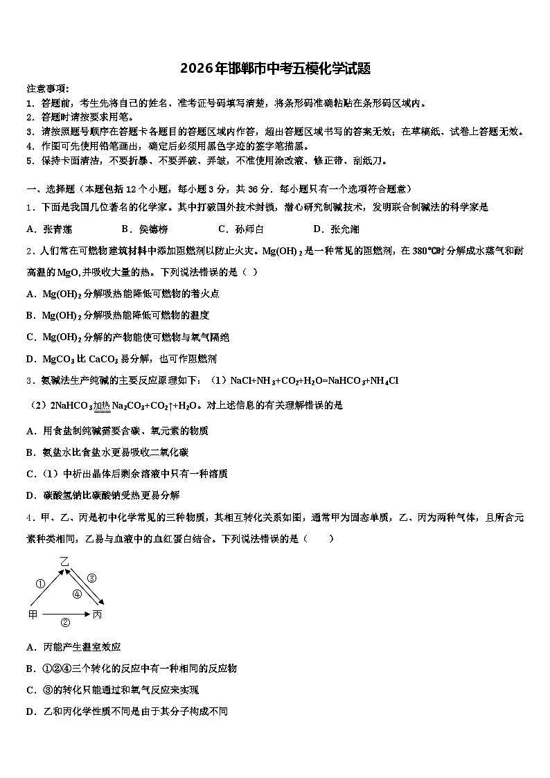 2026年邯郸市中考五模化学试题（含答案解析）第1页