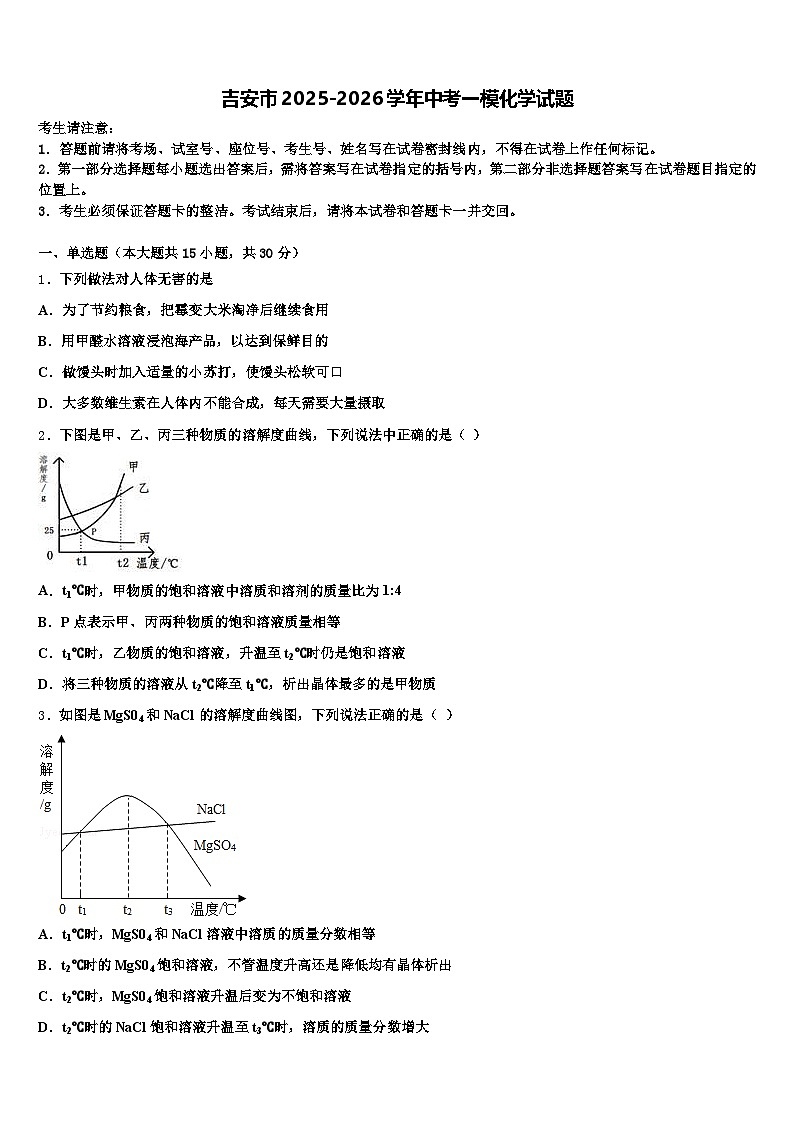 吉安市2025-2026学年中考一模化学试题（含答案解析）第1页
