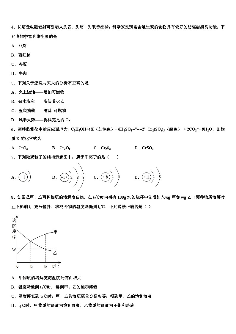 吉安市2025-2026学年中考一模化学试题（含答案解析）第2页