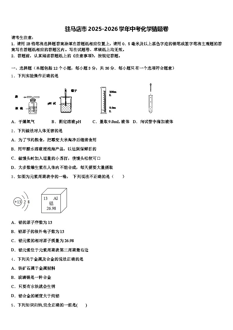 驻马店市2025-2026学年中考化学猜题卷（含答案解析）第1页
