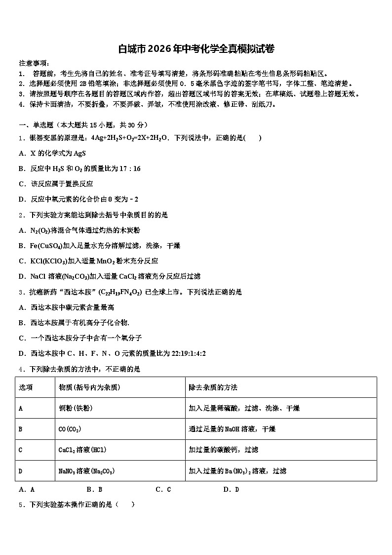 白城市2026年中考化学全真模拟试卷（含答案解析）第1页