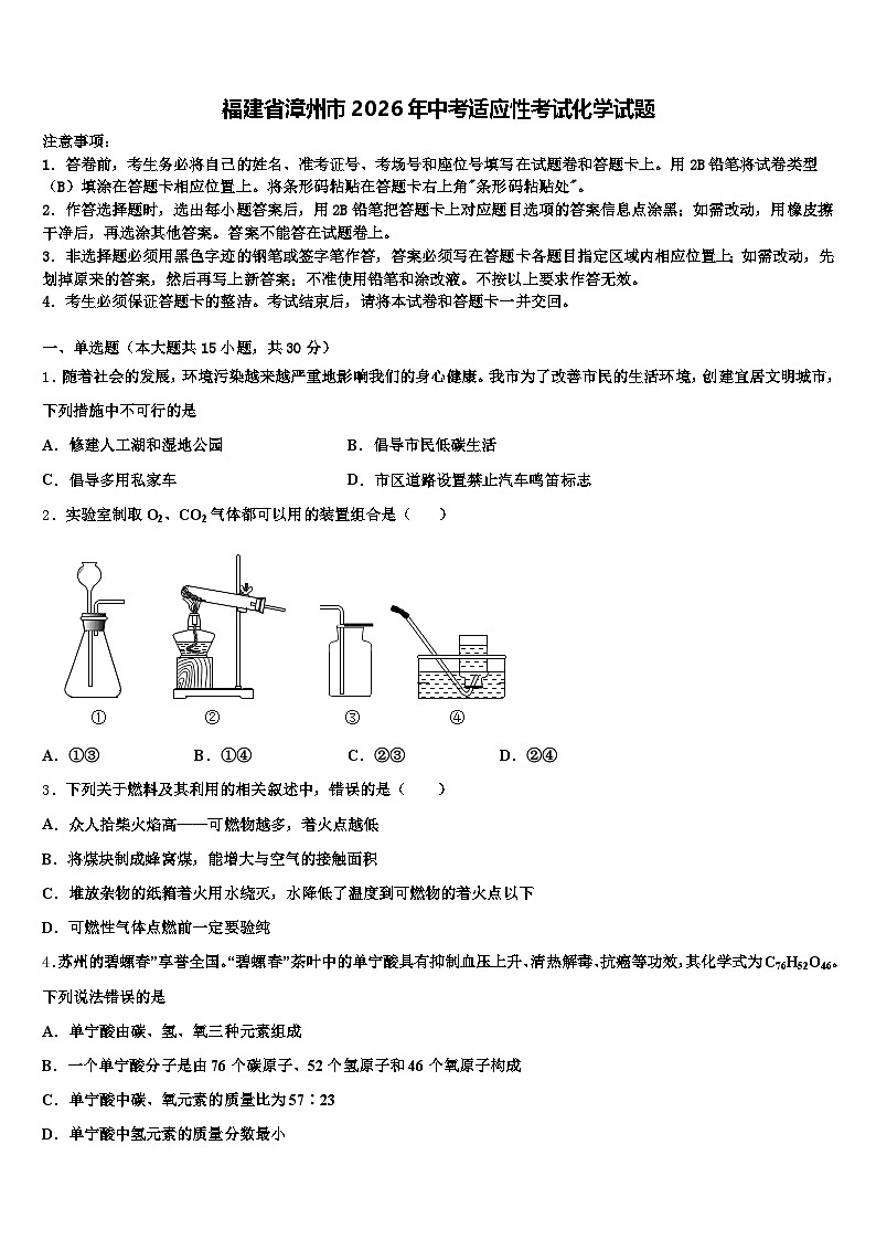 福建省漳州市2026年中考适应性考试化学试题（含答案解析）第1页