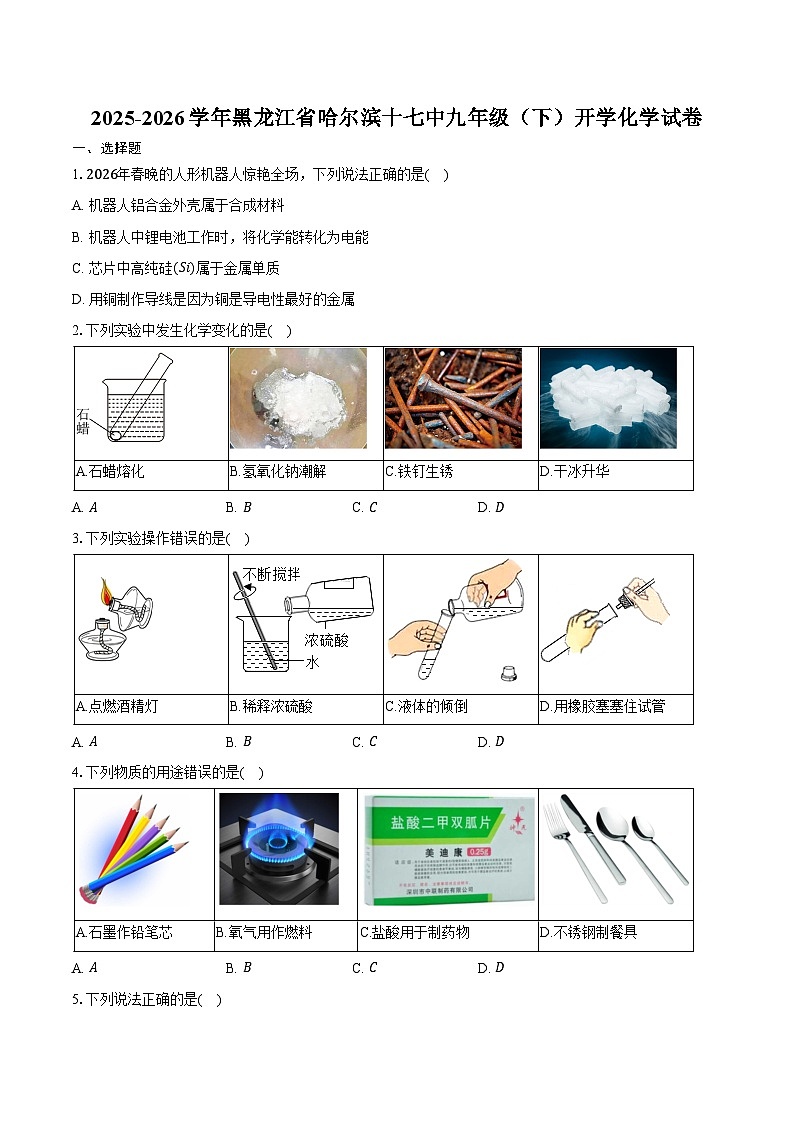 2025-2026学年黑龙江省哈尔滨十七中九年级（下）开学化学试卷（含答案）第1页